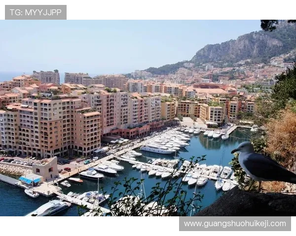 摩纳哥官方娱乐城的法律法规与运营规范保障玩家权益