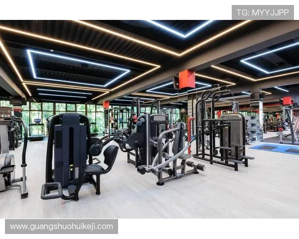 南宫体育健身房会员优惠活动,享受专业设备与个性化训练方案