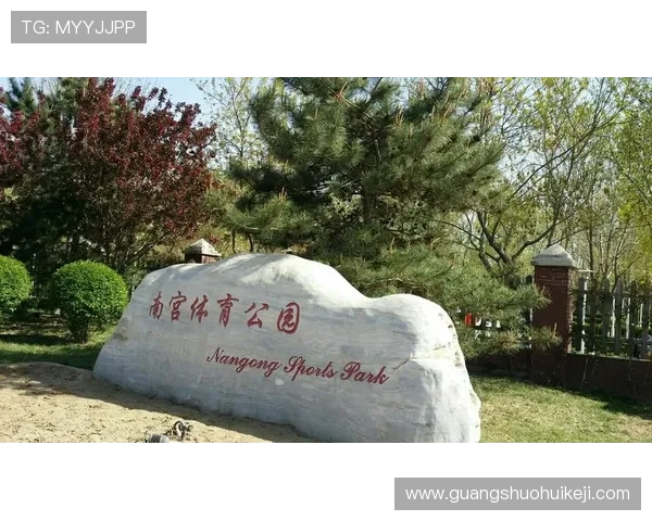 南宫体育馆的会员制度与积分奖励机制，提升你的运动积极性