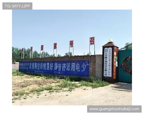 南宫最新网址最新发布,全面介绍南宫游戏官方入口及安全登录指南